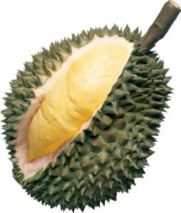 Durian3